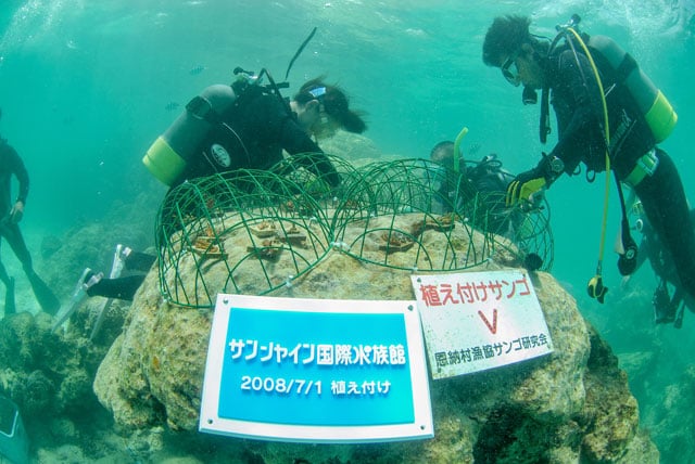 写真協力：サンシャイン水族館
