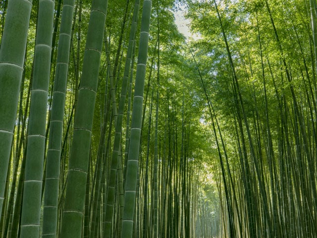 写真協力：ワカヤマファーム