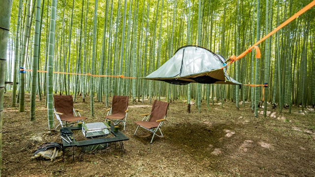 写真協力：ワカヤマファーム