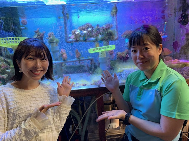 「サンシャイン水族館」飼育スタッフの「鶴橋 梓」さん