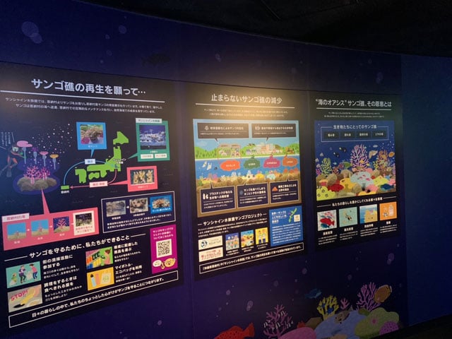 写真協力：サンシャイン水族館