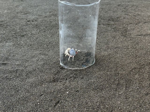 写真提供:河端雄毅研究室