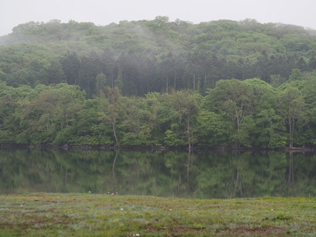 写真協力：ノダカズキ
