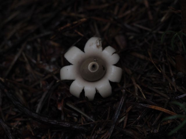 写真協力：ノダカズキ