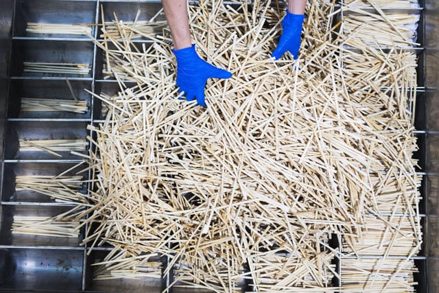 写真協力：Chop Value Manufacturing Japan