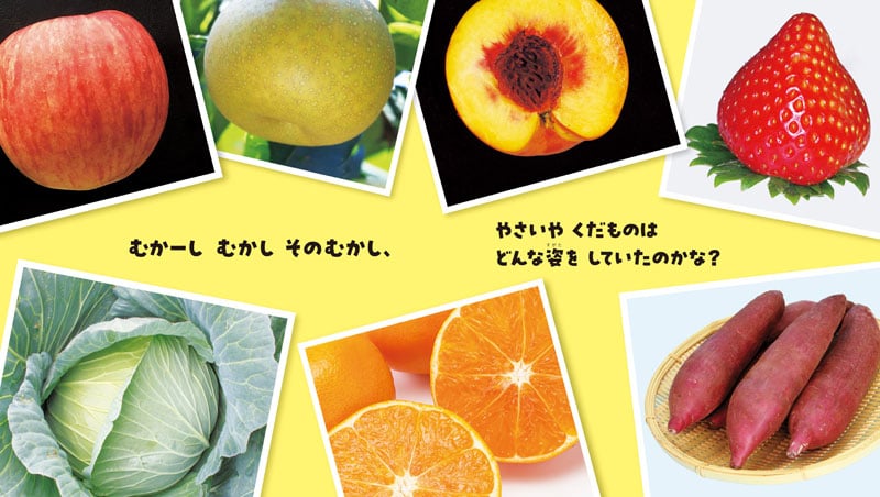 写真協力:『こんなにかわった! やさいくだもの むかし・いま』ほりかわあきな・著/農研機構・監修/講談社