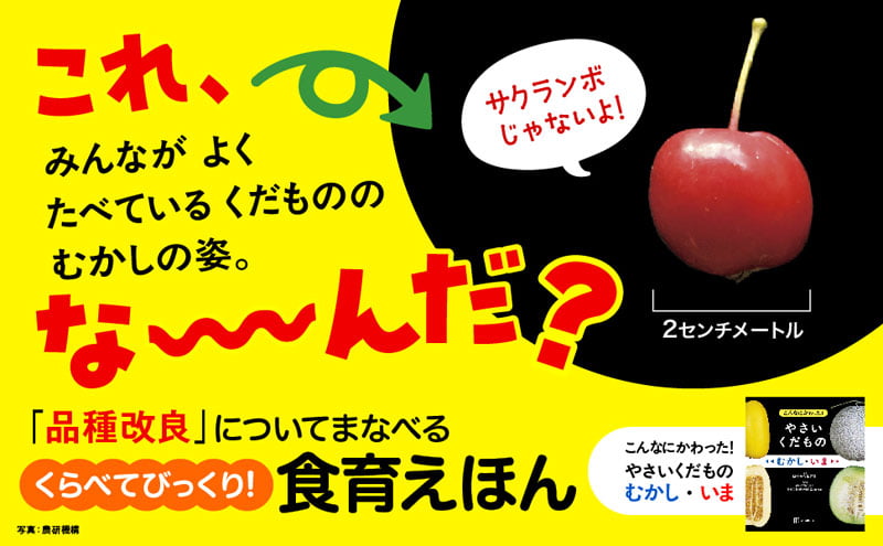 写真協力:『こんなにかわった! やさいくだもの むかし・いま』ほりかわあきな・著/農研機構・監修/講談社